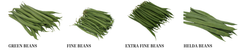 Premium Spanish & Moroccan Green Beans – Fine, Extra Fine & Helda | Fresh Export Quality - Image 3